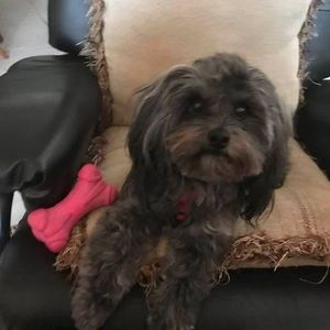 Meet your Posher, Judy